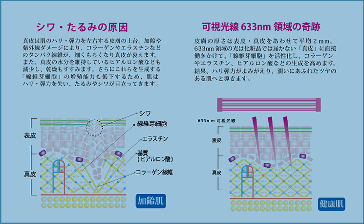 コラーゲンマシン